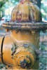 Le Fire Hydrant