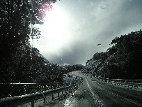 rainy road in New Zealand